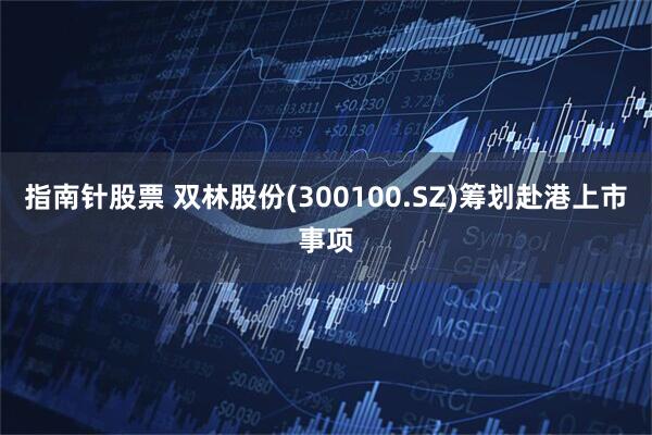 指南针股票 双林股份(300100.SZ)筹划赴港上市事项