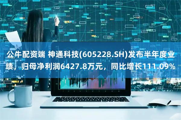 公牛配资端 神通科技(605228.SH)发布半年度业绩，归母净利润6427.8万元，同比增长111.09%