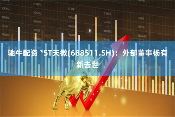 驰牛配资 *ST天微(688511.SH)：外部董事杨有新去世