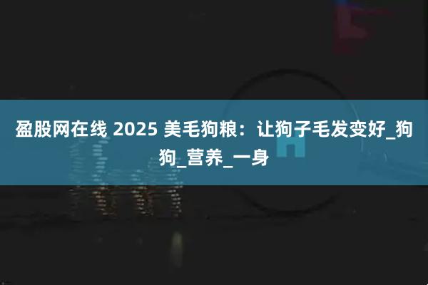 盈股网在线 2025 美毛狗粮：让狗子毛发变好_狗狗_营养_一身