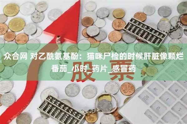 众合网 对乙酰氨基酚：猫咪尸检的时候肝脏像颗烂番茄_小时_药片_感冒药