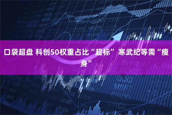 口袋超盘 科创50权重占比“超标” 寒武纪等需“瘦身”