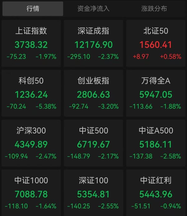 小散配资 科创50半日跌5.38% 寒武纪重挫近12%