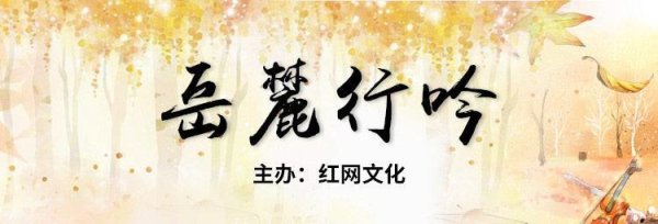 抓牛网 散文丨周昕：大酉藏书续新篇